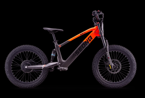 Elektro Fahrrad Sedna SX20"